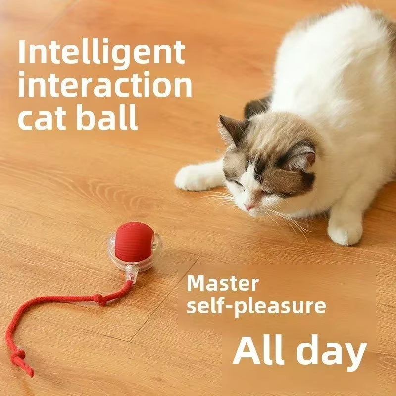 Interactive Rechargeable Dog and Cat Toy – Electric Rolling Ball with Fake Tail for Pets, Automatic Play and Entertainment