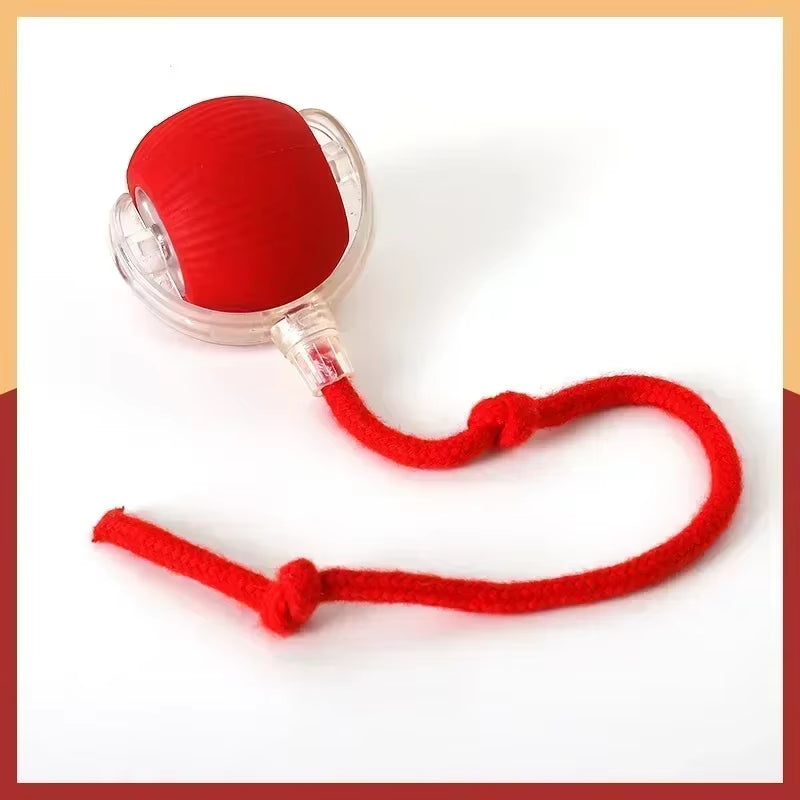 Interactive Rechargeable Dog and Cat Toy – Electric Rolling Ball with Fake Tail for Pets, Automatic Play and Entertainment