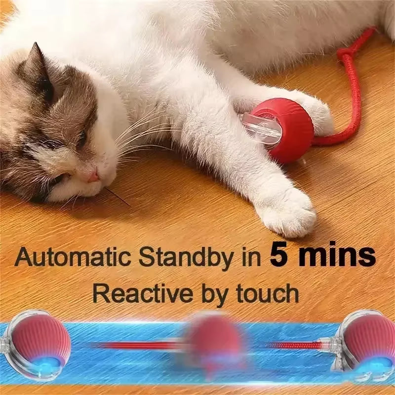 Interactive Rechargeable Dog and Cat Toy – Electric Rolling Ball with Fake Tail for Pets, Automatic Play and Entertainment