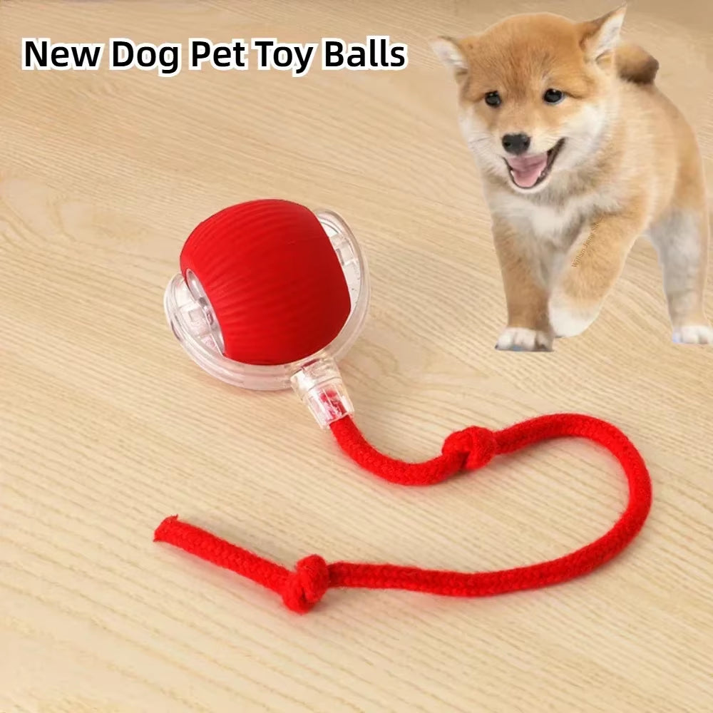 Interactive Rechargeable Dog and Cat Toy – Electric Rolling Ball with Fake Tail for Pets, Automatic Play and Entertainment
